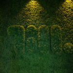 till_office-11